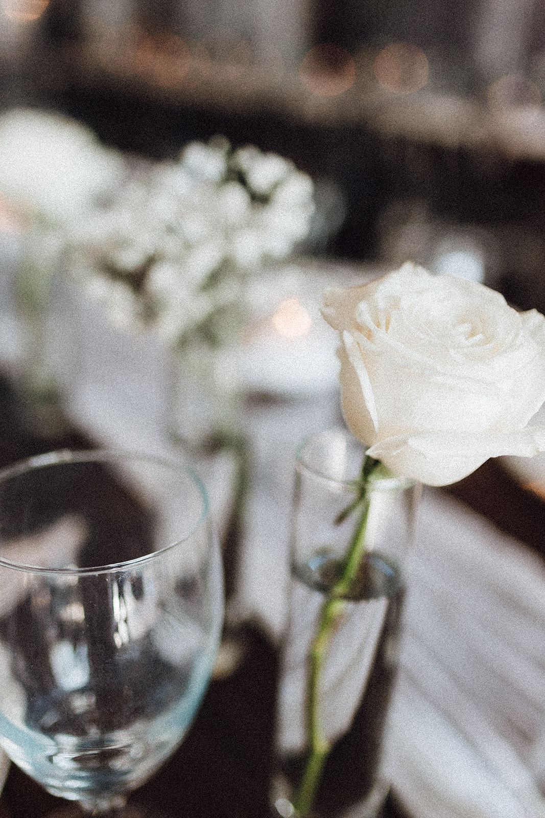 A white rose sits in a tall glass on a reception table